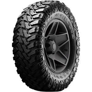 distriauto1-574567