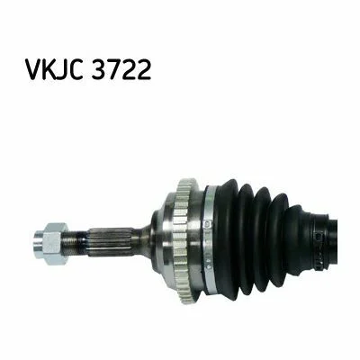 distriauto2-695351