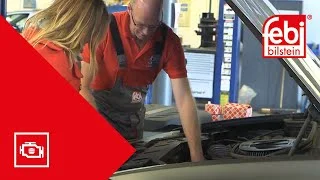 distriauto2-707827