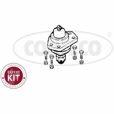 distriauto3-695126