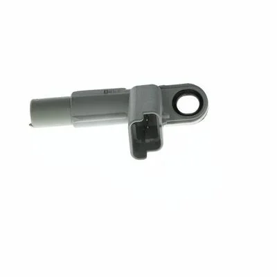 distriauto3-729957