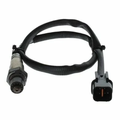distriauto4-787261
