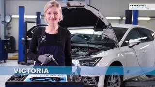 distriauto4-790768