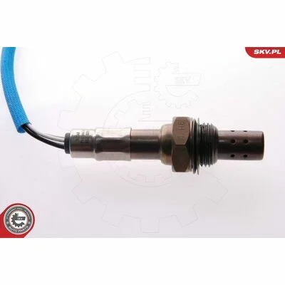 distriauto6-810659