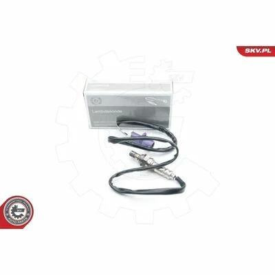 distriauto6-811082