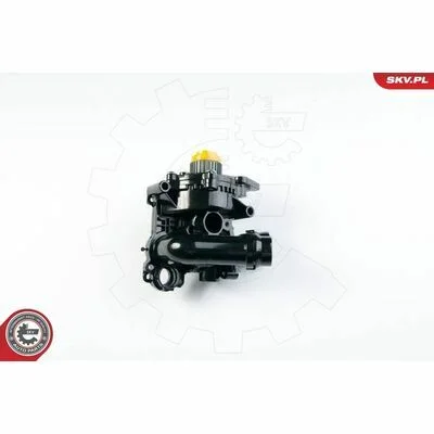 distriauto6-843783