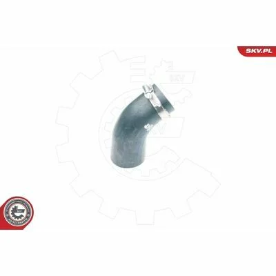 distriauto6-847281