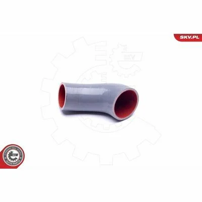 distriauto6-848382