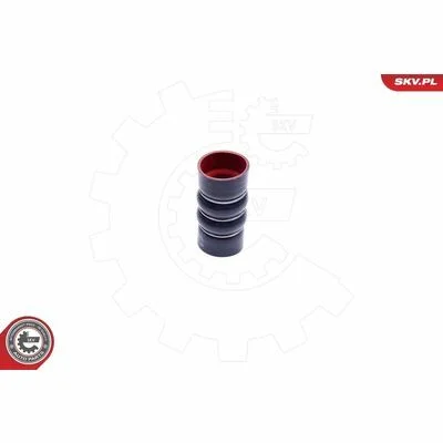 distriauto6-848451