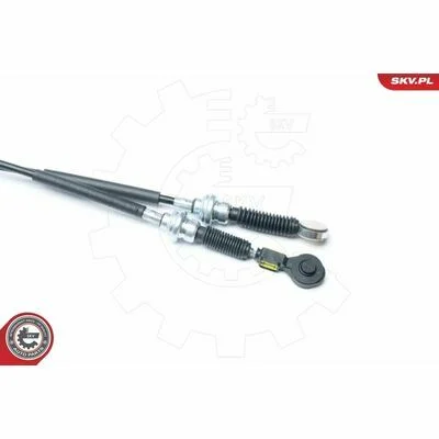 distriauto6-854532
