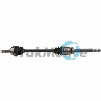 distriauto7-820235
